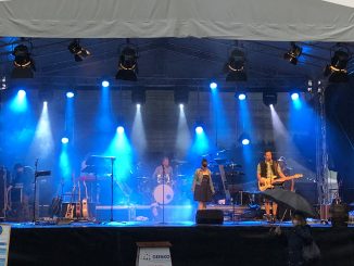 Neckarfest